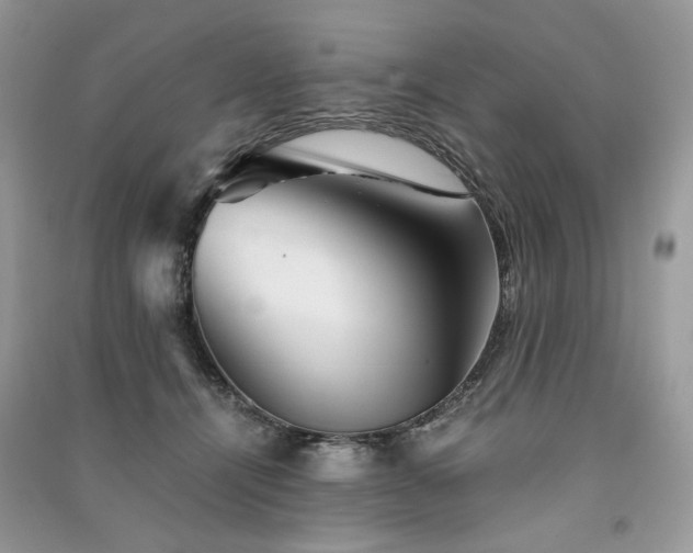X0000091360464200708101423