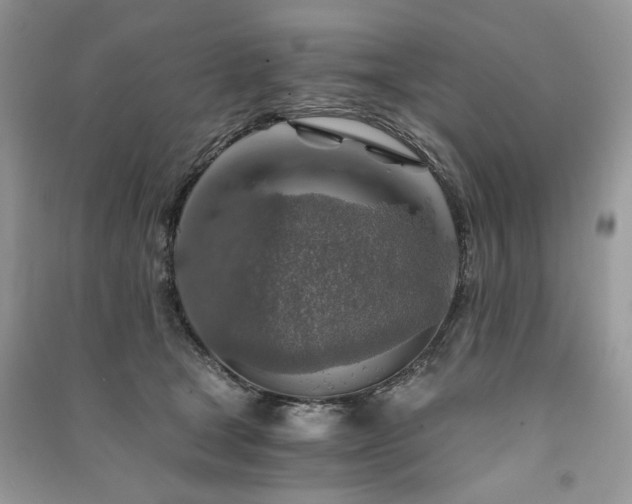X0000091360465200708101423