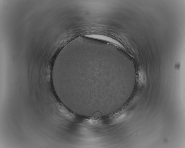 X0000091360466200708101423