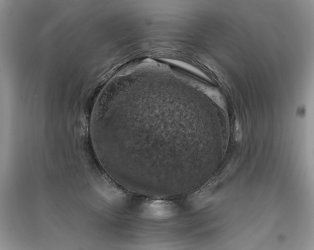 X0000091360467200708101423