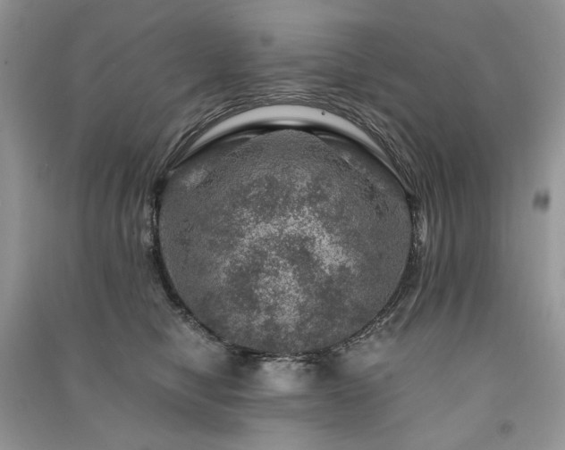 X0000091360470200708101423