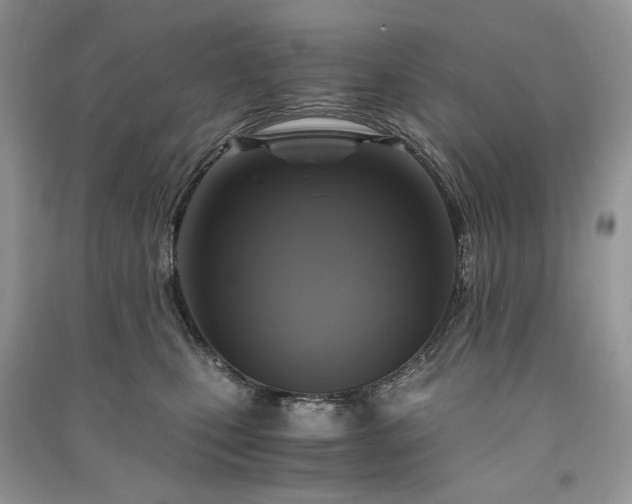 X0000091360471200708101423