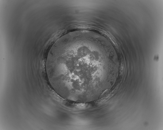 X0000091360473200708101423