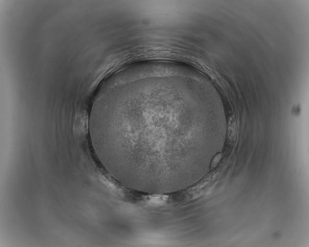 X0000091360474200708101423