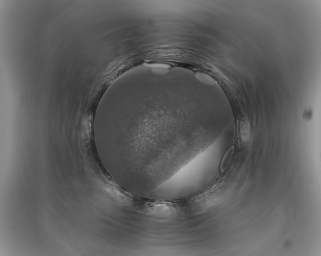 X0000091360475200708101423