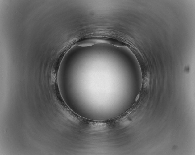X0000091360476200708101423