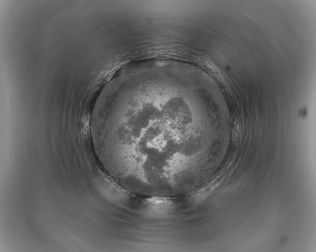 X0000091360477200708101423