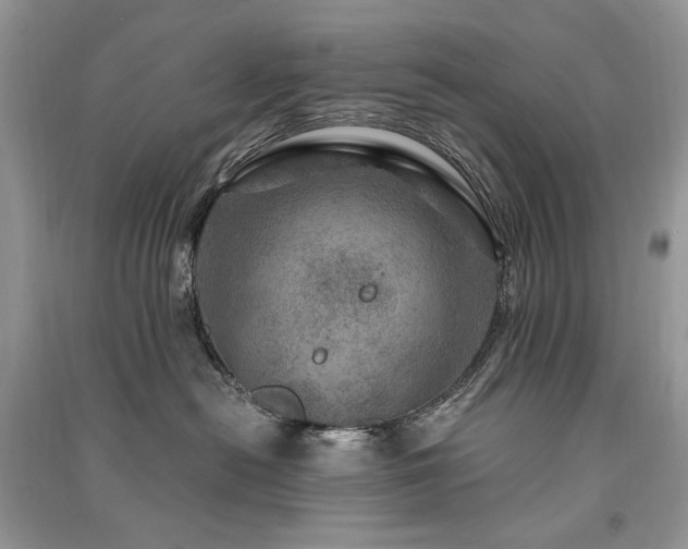 X0000091360478200708101423