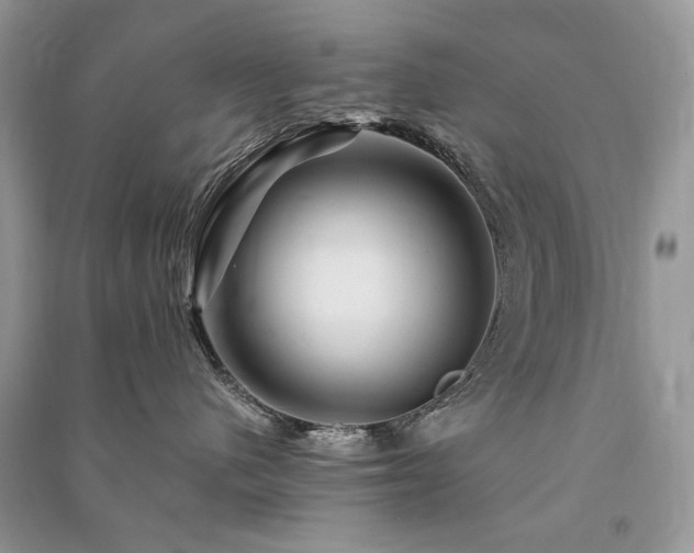 X0000091360480200708101423