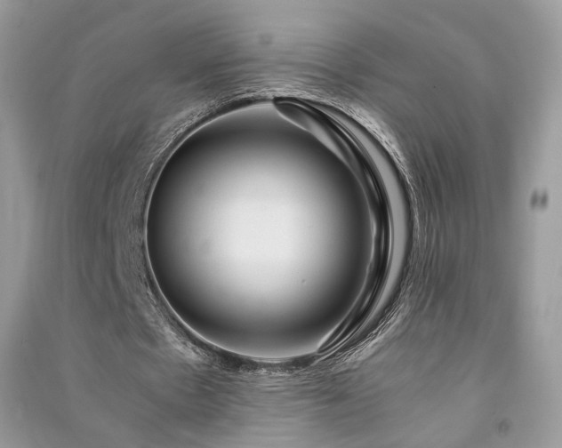 X0000091360481200708101422
