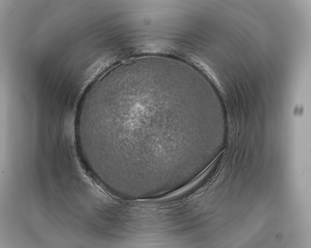 X0000091360482200708101422