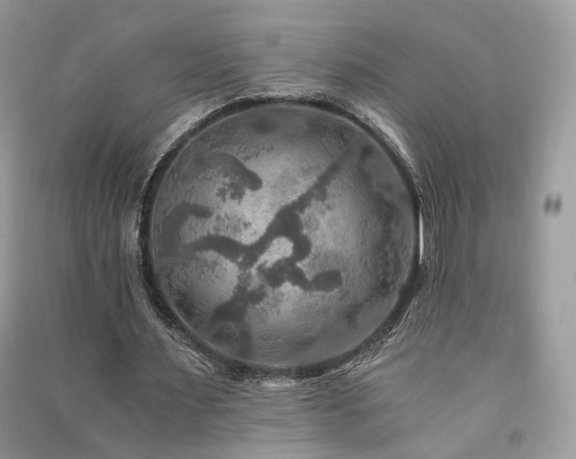 X0000091360483200708101422