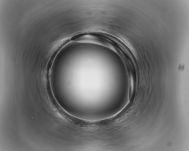 X0000091360485200708101422