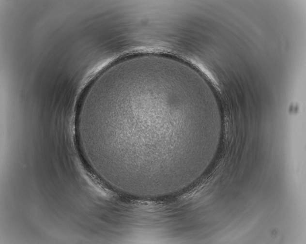 X0000091360486200708101422
