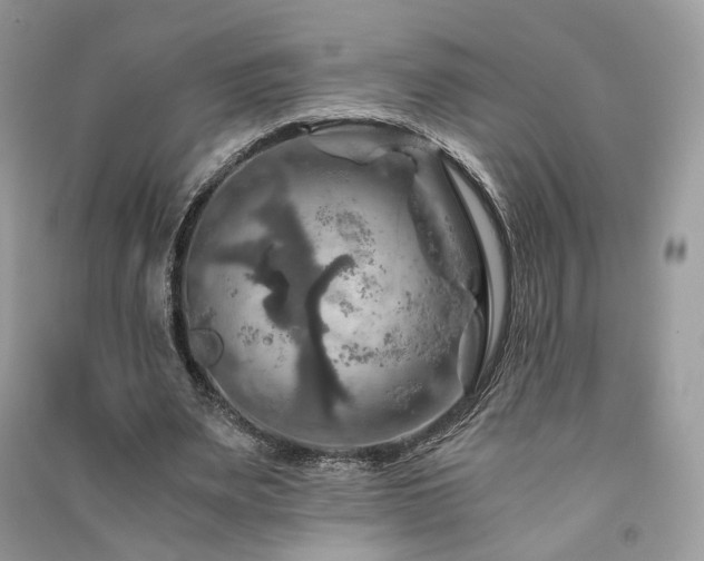 X0000091360487200708101422