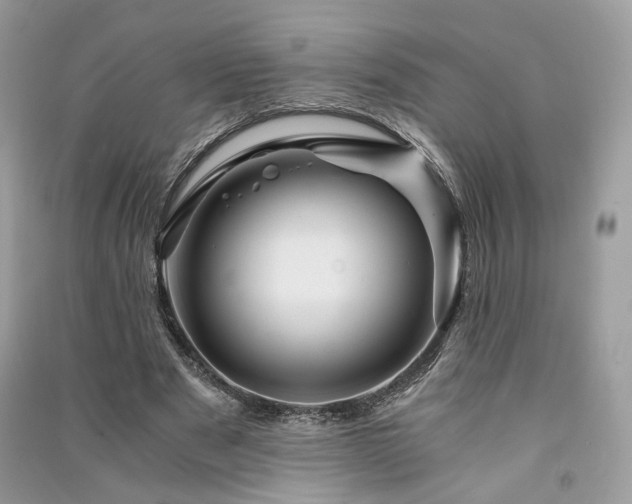 X0000091360489200708101422