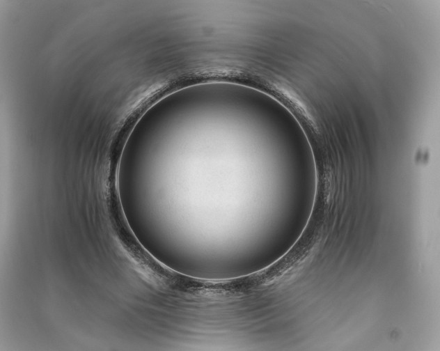 X0000091360490200708101422