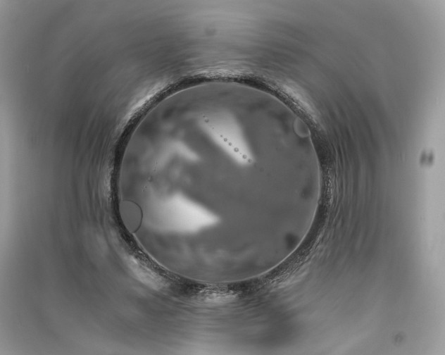 X0000091360491200708101422
