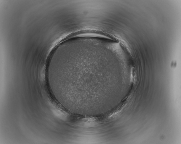 X0000091360492200708101422