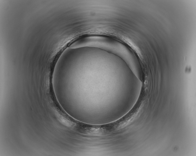 X0000091360493200708101422