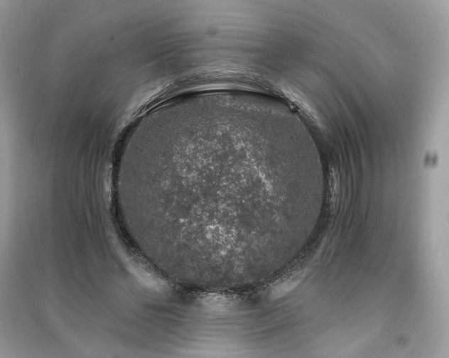X0000091360494200708101422