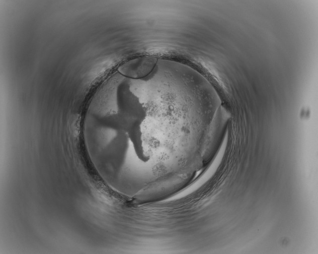 X0000091360495200708101422