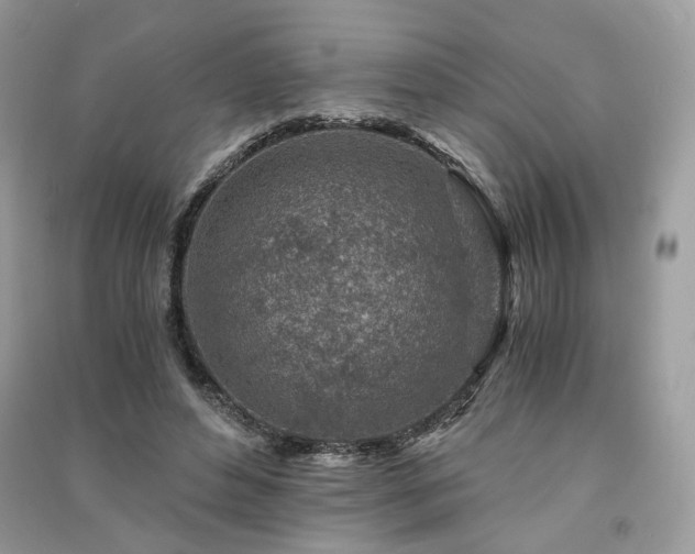 X0000091360496200708101422