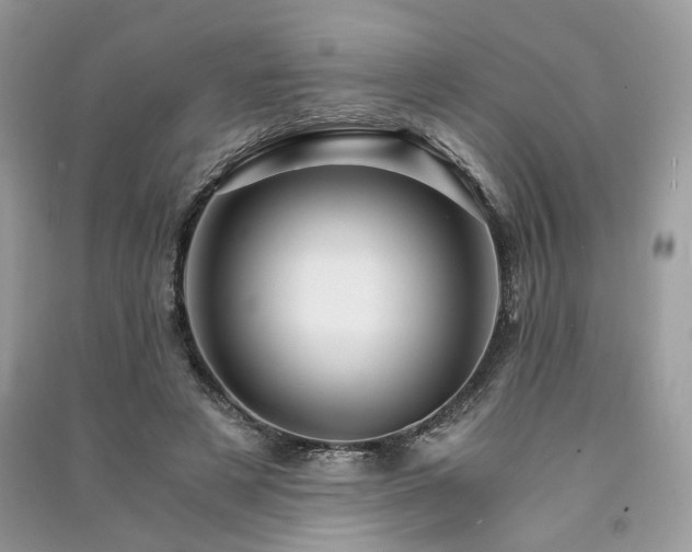 X0000091360497200708101422