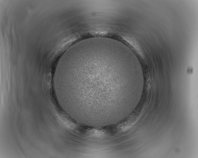 X0000091360498200708101422
