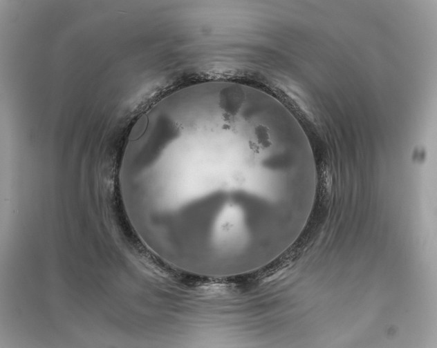 X0000091360499200708101422
