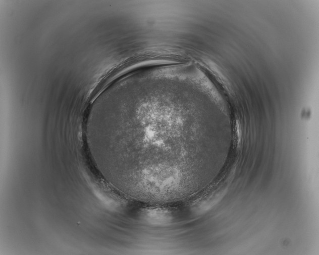 X0000091360500200708101422