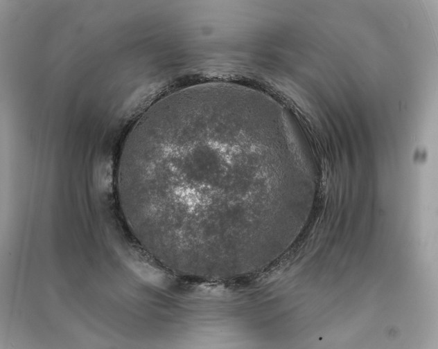 X0000091360502200708101422