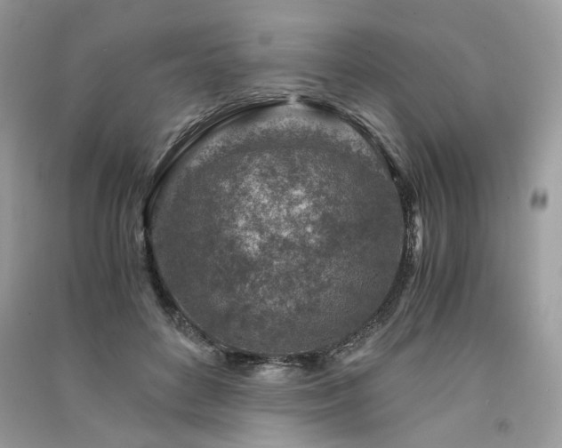X0000091360504200708101422