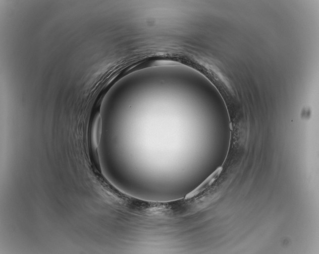 X0000091360505200708101422