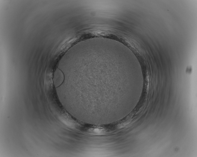 X0000091360506200708101422
