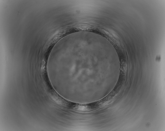 X0000091360507200708101422