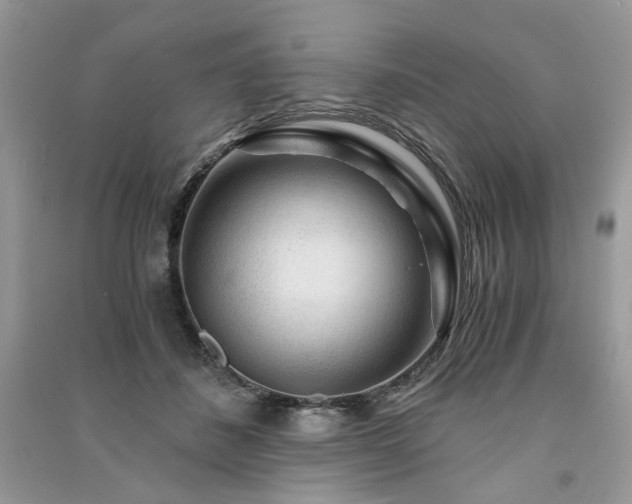 X0000091360508200708101422
