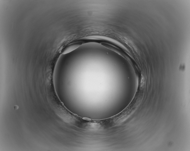 X0000091360509200708101422