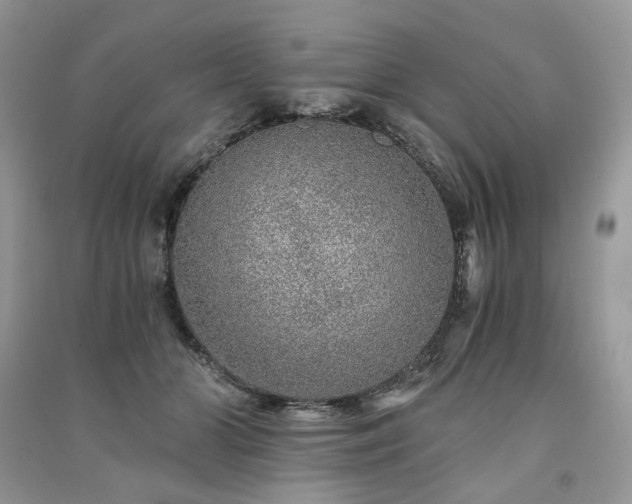X0000091360510200708101422