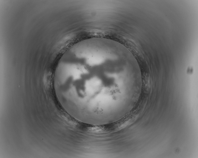 X0000091360511200708101422
