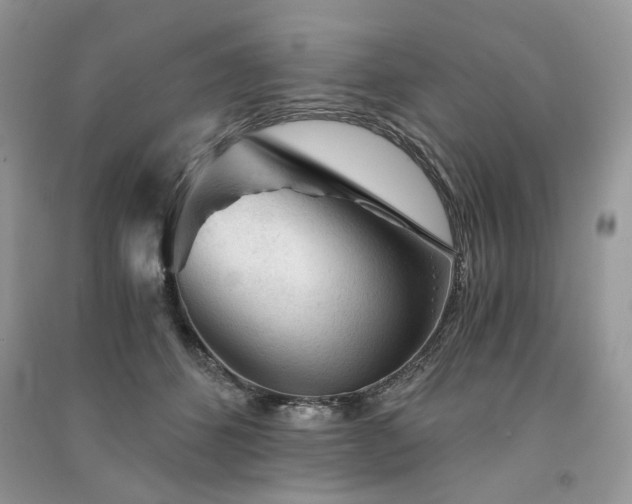 X0000091360512200708101422