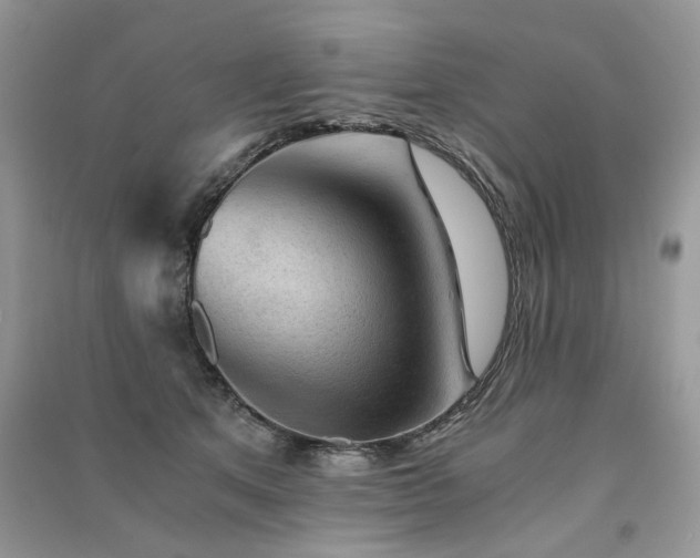 X0000091360513200708101422