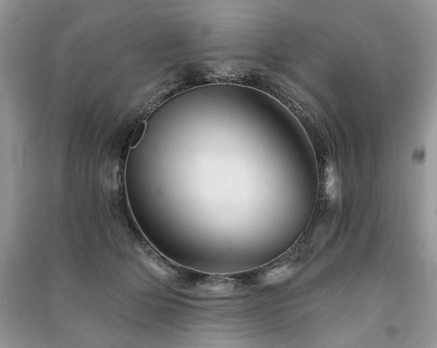 X0000091360514200708101422