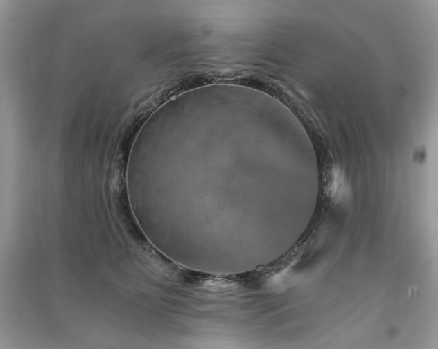 X0000091360515200708101422