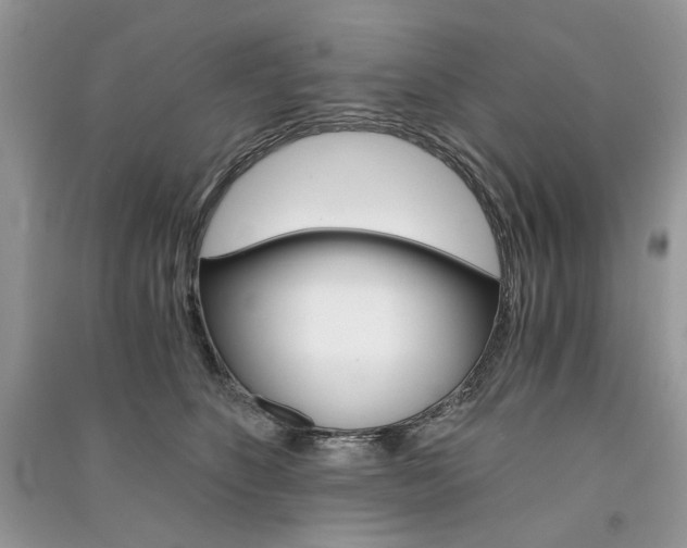 X0000091360516200708101422