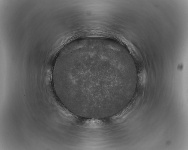 X0000091360517200708101422