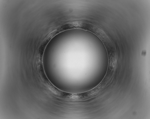 X0000091360518200708101422
