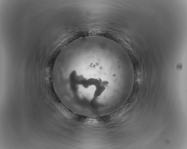 X0000091360519200708101422