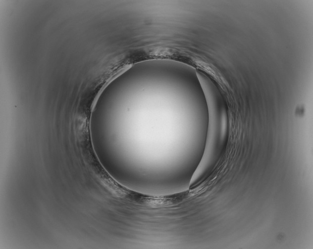 X0000091360521200708101422