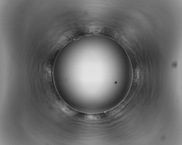 X0000091360522200708101422